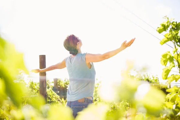 Woman standing at vineyard — Stock Photo, Image