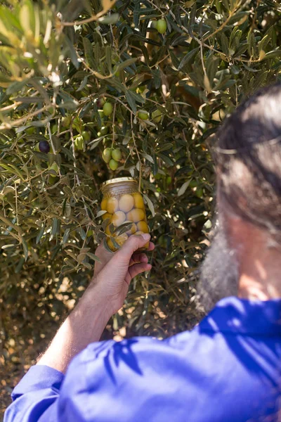 Homme examinant des olives marinées à la ferme — Photo