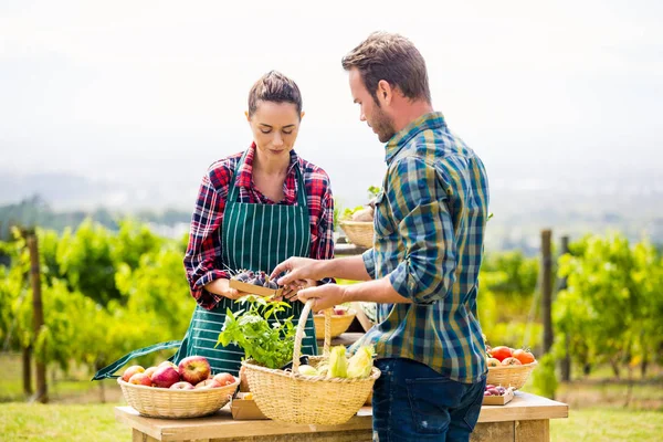 Uomo comprare verdure biologiche da donna — Foto Stock