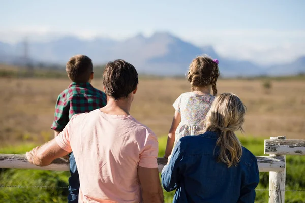 Family looking at nature in the park — Stock Photo, Image