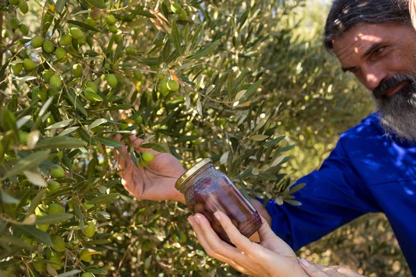 Couple examinant des olives à la ferme — Photo
