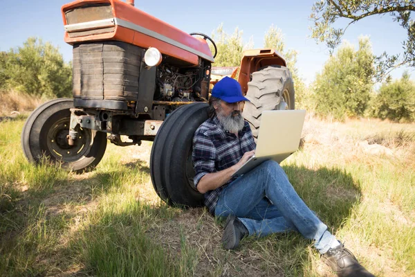 Man using laptop in olive farm — Stock Photo, Image