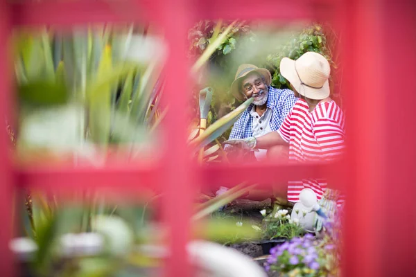 Jardinagem casal visto através de estrutura metálica — Fotografia de Stock