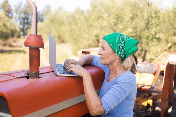 Mulher usando laptop na fazenda de azeitona — Fotografia de Stock