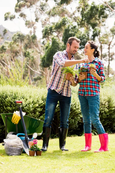 Par som håller krukväxter — Stockfoto