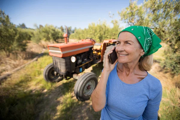 Femme heureuse parlant au téléphone dans une ferme d'olivier — Photo