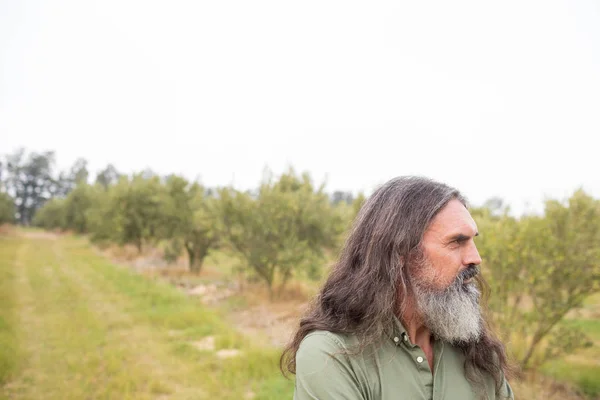 Homme réfléchi debout dans un champ d'oliviers — Photo
