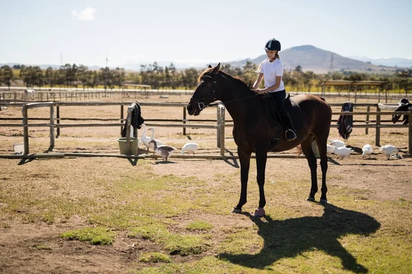 Gadis menunggang kuda di peternakan — Stok Foto