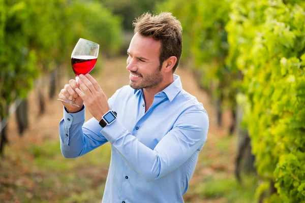 Улыбающийся мужчина с бокалом вина — стоковое фото