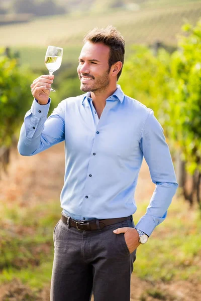 Uomo in possesso di bicchiere da vino — Foto Stock