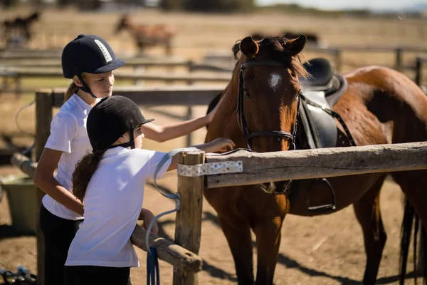 Meninas tocando o cavalo marrom no rancho — Fotografia de Stock