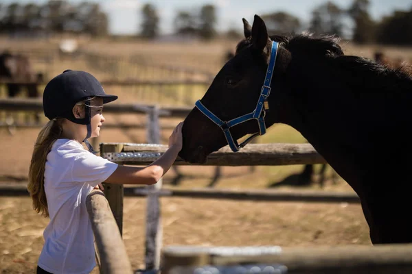 Menina acariciando um cavalo marrom no rancho — Fotografia de Stock