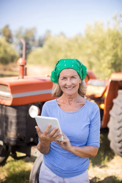 Mujer usando tableta digital en granja de olivos —  Fotos de Stock