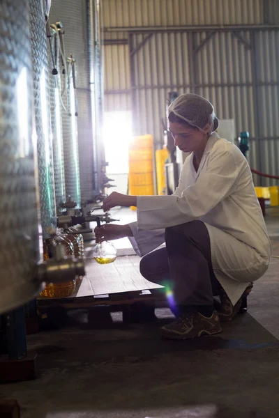 Женщина-техник изучает оливковое масло — стоковое фото