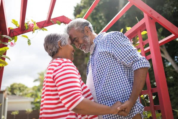 Ffectionate senior couple — Stock Photo, Image