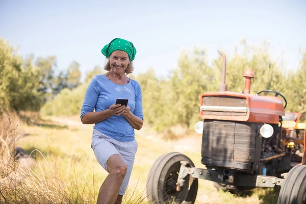 Mulher usando telefone celular na fazenda de azeitona — Fotografia de Stock