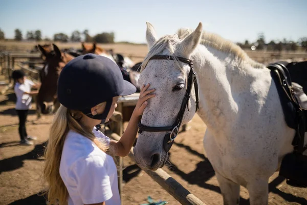 Menina acariciando o cavalo branco — Fotografia de Stock