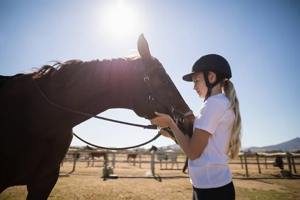 Rider menina acariciando um cavalo — Fotografia de Stock