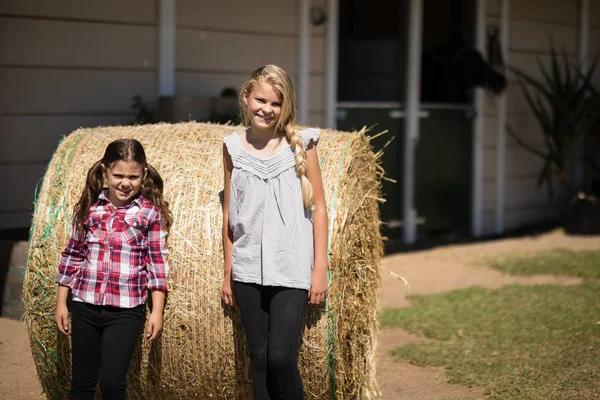 Siblings leaning on hay in the farm — Stock Photo, Image