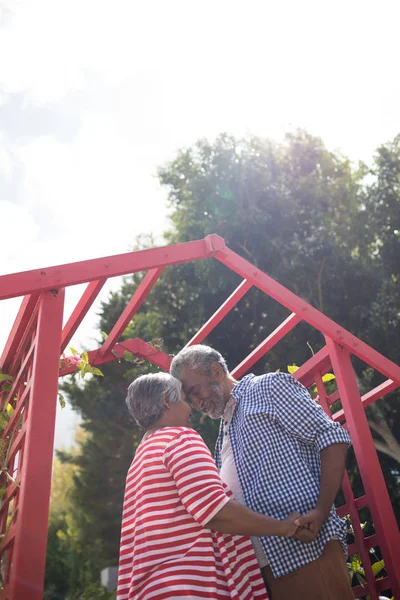 Aanhankelijk senior paar tegen hemel — Stockfoto