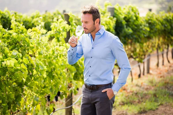 Hombre guapo bebiendo vino —  Fotos de Stock