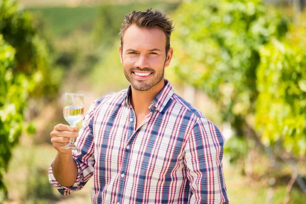 Pohledný muž držení sklenice na víno — Stock fotografie