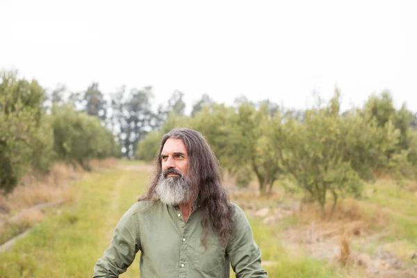 Homme réfléchi debout dans un champ d'oliviers — Photo