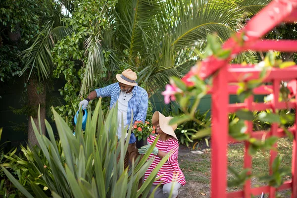 Coppia giardinaggio in cortile — Foto Stock