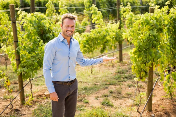 Человек, жестикулирующий на винограднике — стоковое фото