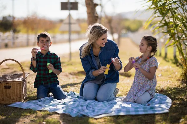 Madre e hijos soplando burbuja en el parque —  Fotos de Stock