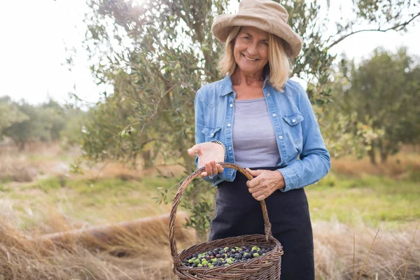 Donna che tiene le olive raccolte nel cestino — Foto Stock