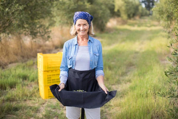 Femme tenant des olives récoltées dans sa jupe — Photo