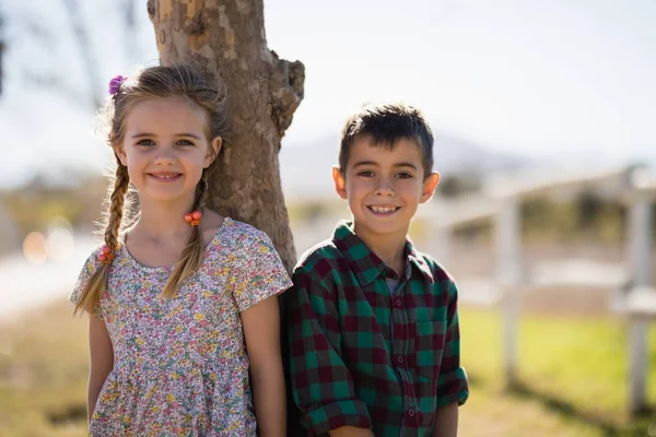 Siblings leaning on tree trunk in park — Stock Photo, Image