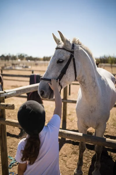 Menina tocando cavalo branco no rancho — Fotografia de Stock