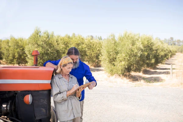Couple discutant sur presse-papiers dans la ferme d'olivier — Photo