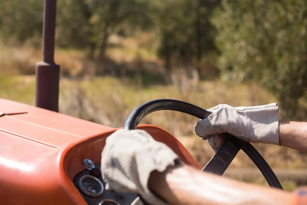 Homme conduisant tracteur dans l'exploitation oléicole — Photo