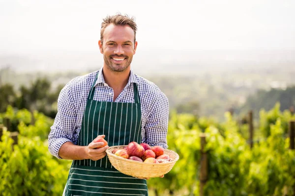 Homem sorrindo segurando cesta de maçã — Fotografia de Stock