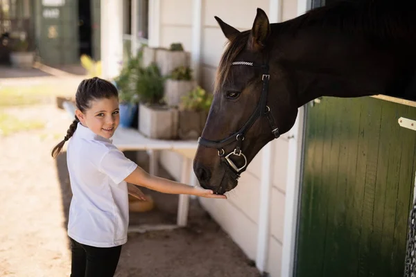 Chica alimentando a un caballo en el establo — Foto de Stock