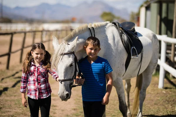 Siblings standing with white horse — Stock Photo, Image
