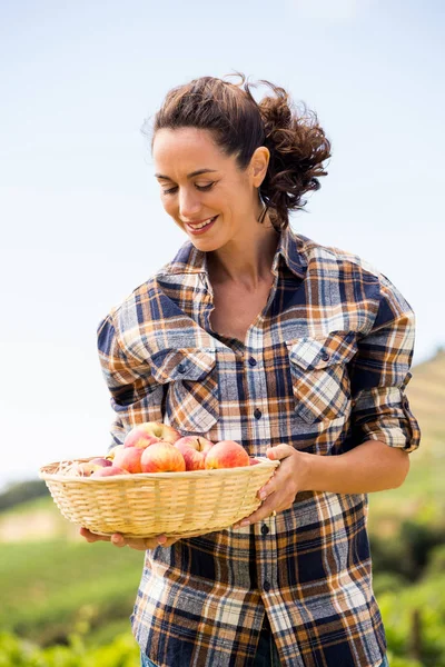 Mulher sorridente com cesta de maçã — Fotografia de Stock