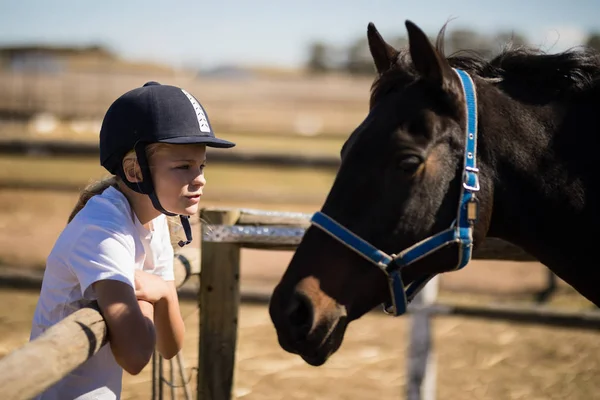 Дівчина дивиться на коричневого коня — стокове фото