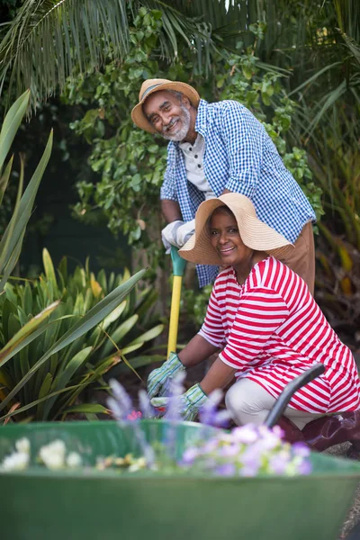 Casal sênior jardinagem no quintal — Fotografia de Stock