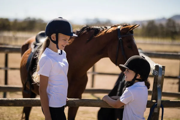 Meninas olhando cara a cara perto do cavalo marrom — Fotografia de Stock