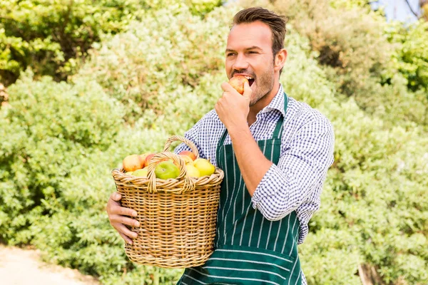 Man met mand eten apple — Stockfoto