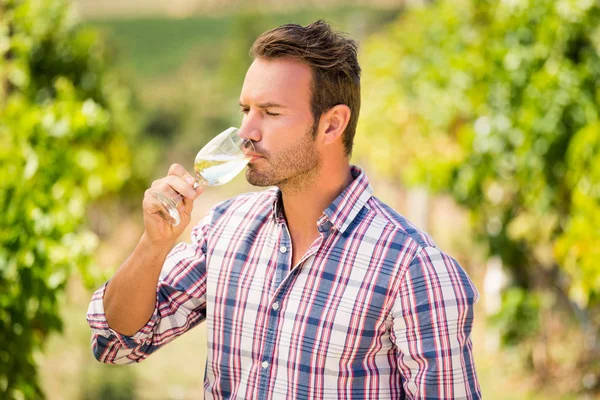 ワインを飲む男 — ストック写真