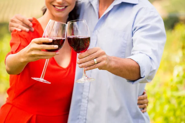 Couple toasting wine — Stock Photo, Image