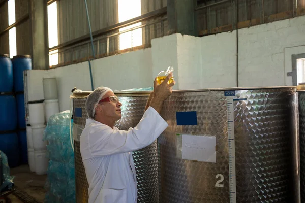 Technicien examinant l'huile d'olive — Photo