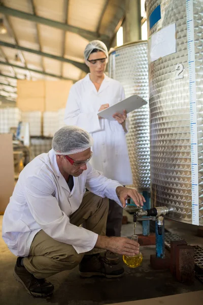 Technici onderzoeken van olijfolie — Stockfoto