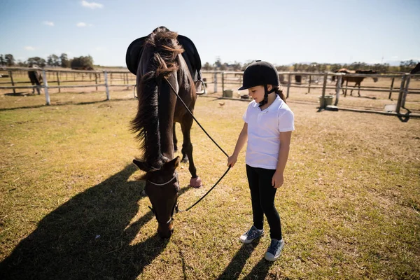 Menina segurando as rédeas de um cavalo — Fotografia de Stock