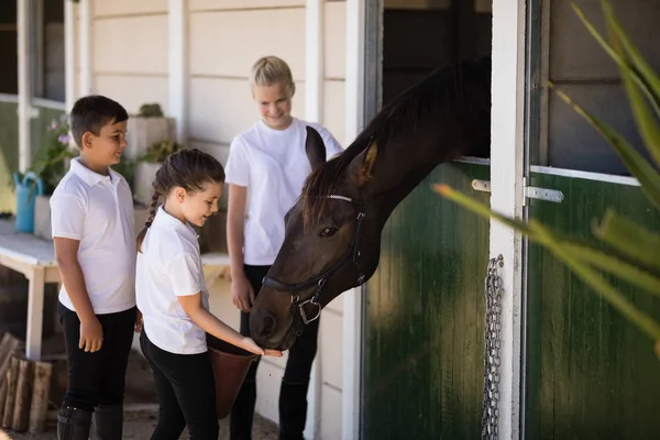 Tres niños alimentando al caballo en establo —  Fotos de Stock